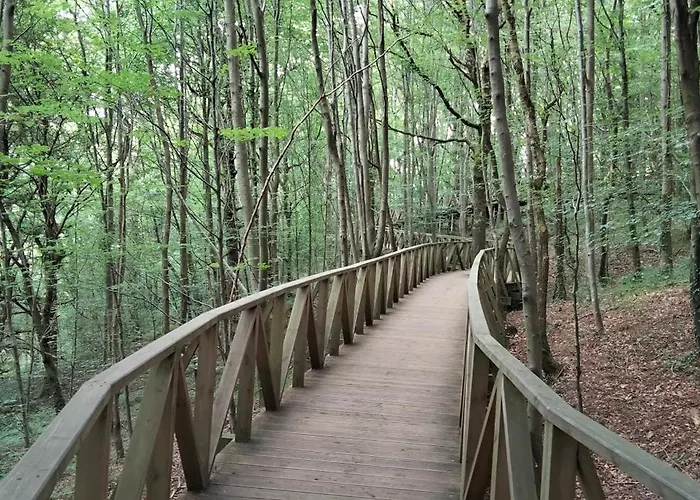 Daire Altos De La Hayuela, A 7 Min De *